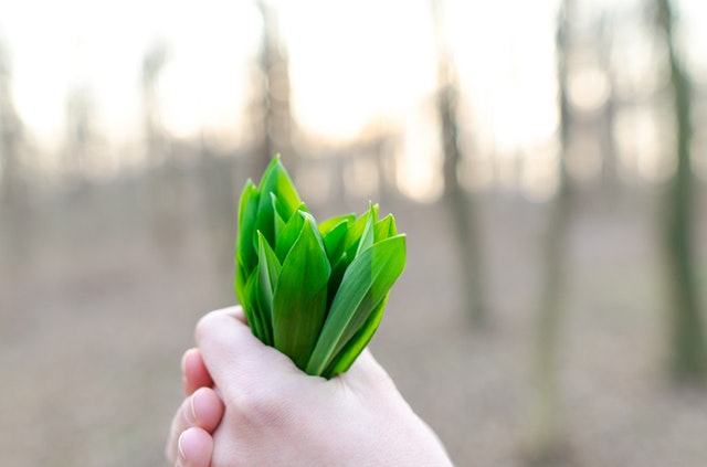 Go Green
